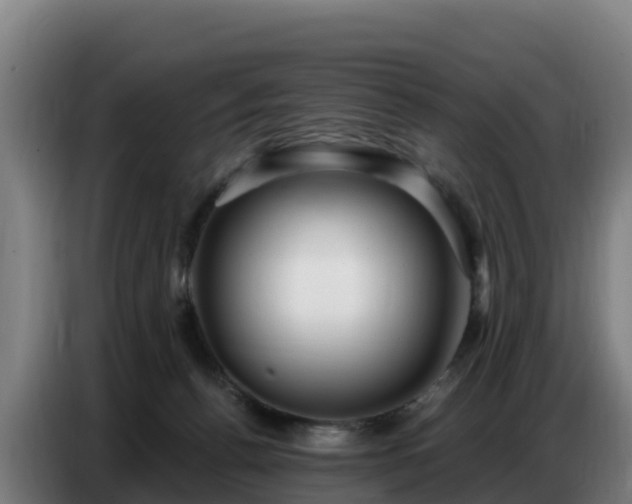 X0000086750176200704201732