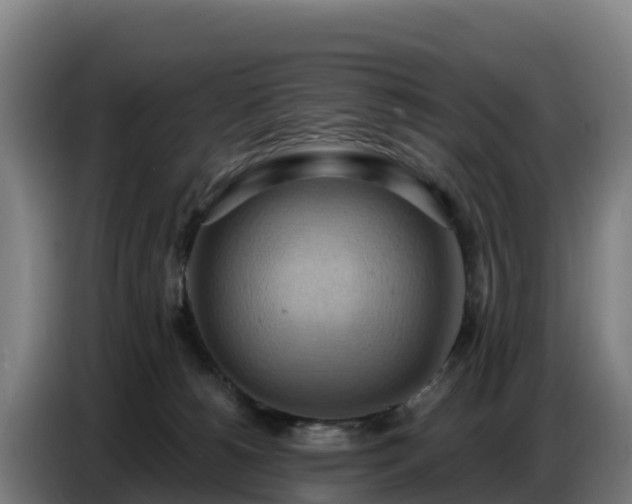 X0000086750180200704201732