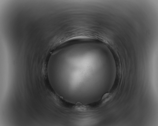 X0000086750181200704201732