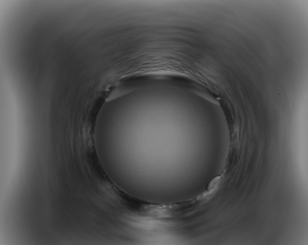 X0000086750182200704201732