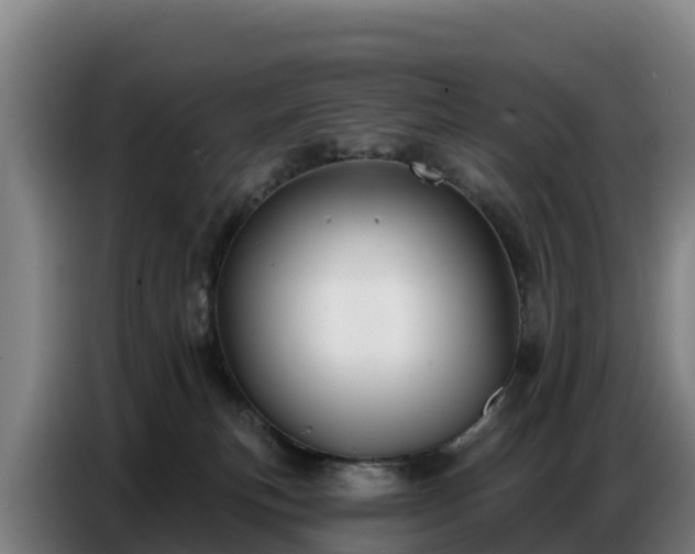 X0000086750183200704201732