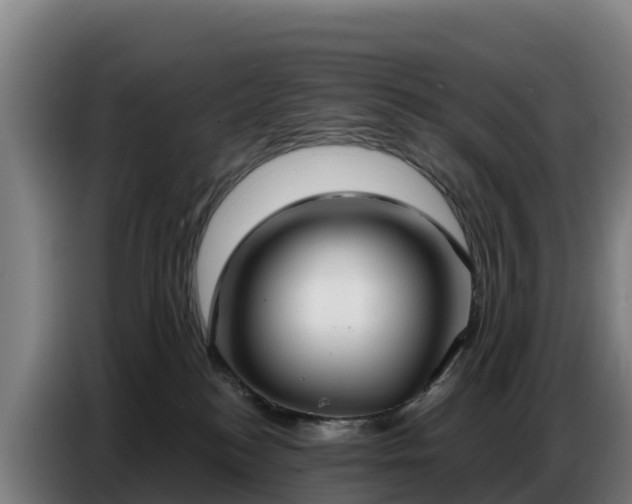 X0000086750184200704201732