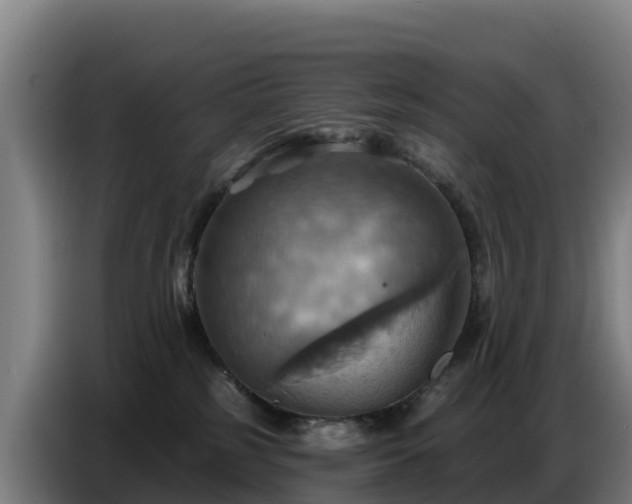 X0000086750185200704201732