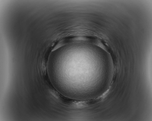 X0000086750186200704201732