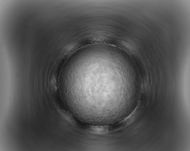 X0000086750187200704201732