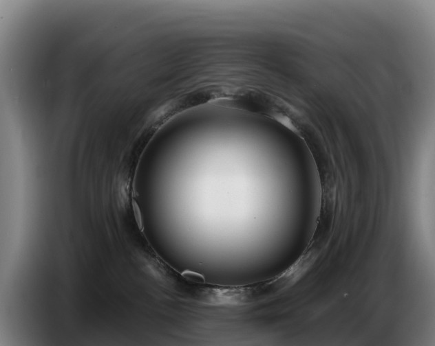 X0000086750188200704201732