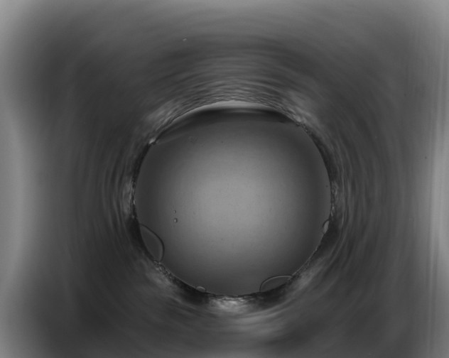 X0000086750189200704201732