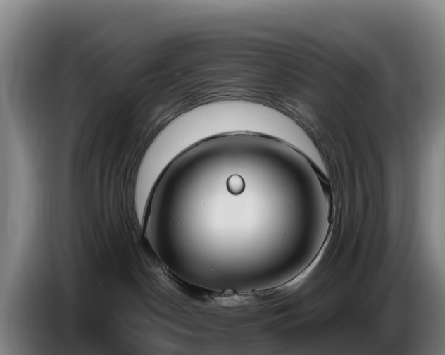 X0000086750190200704201732