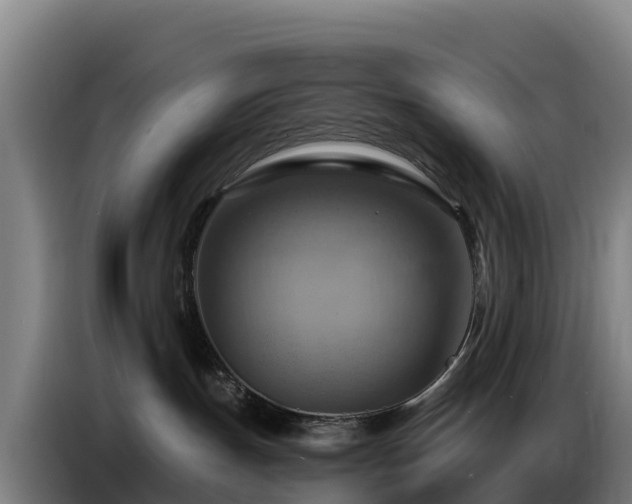 X0000086750191200704201732