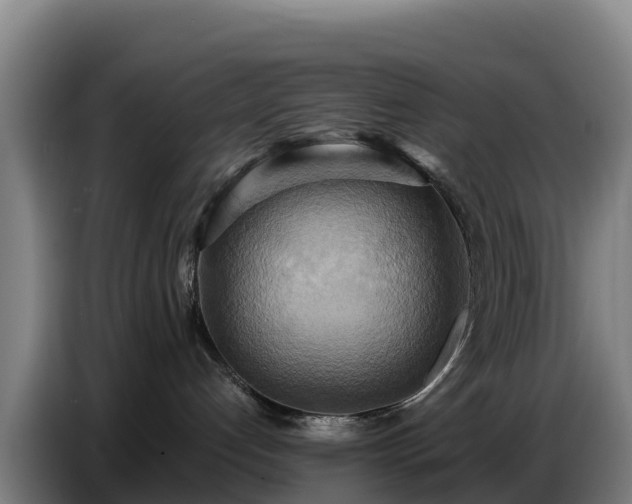 X0000086750192200704201732