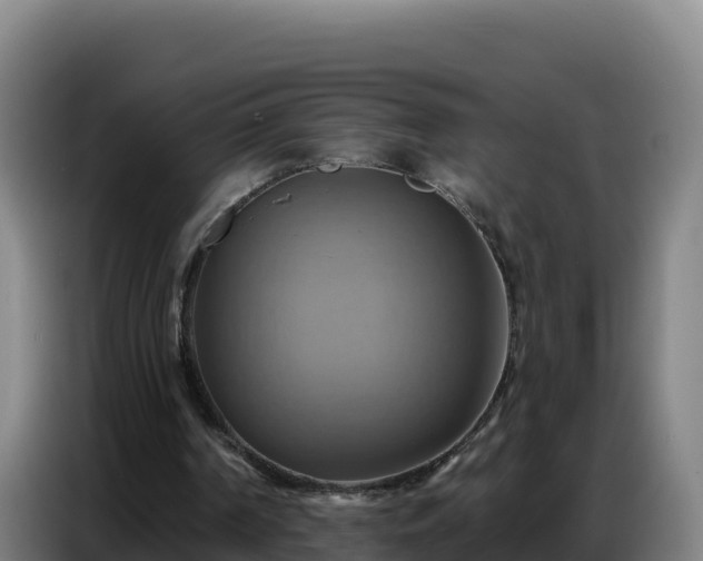 X0000086750194200704201732