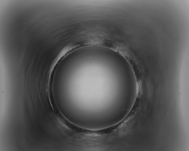 X0000086750195200704201732