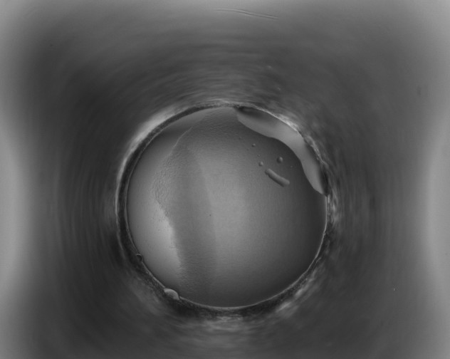 X0000086750196200704201732