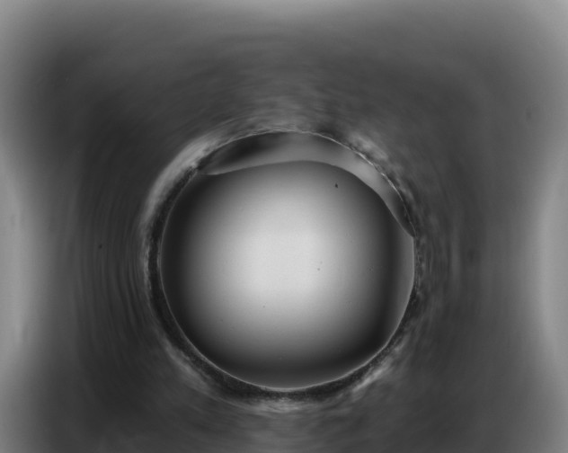 X0000086750197200704201732