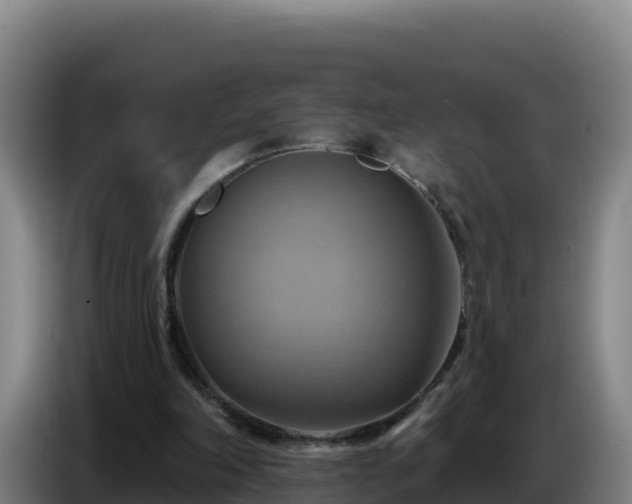 X0000086750198200704201732