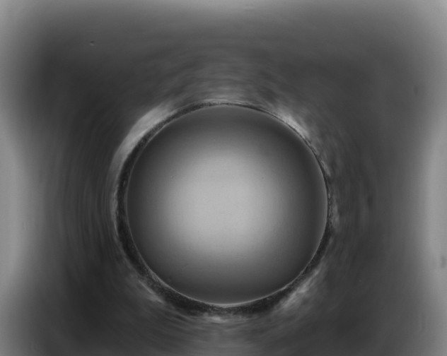 X0000086750199200704201732