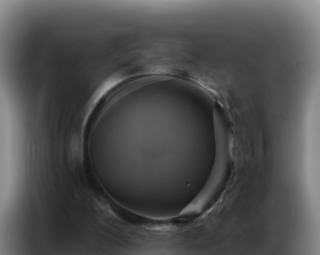 X0000086750200200704201732