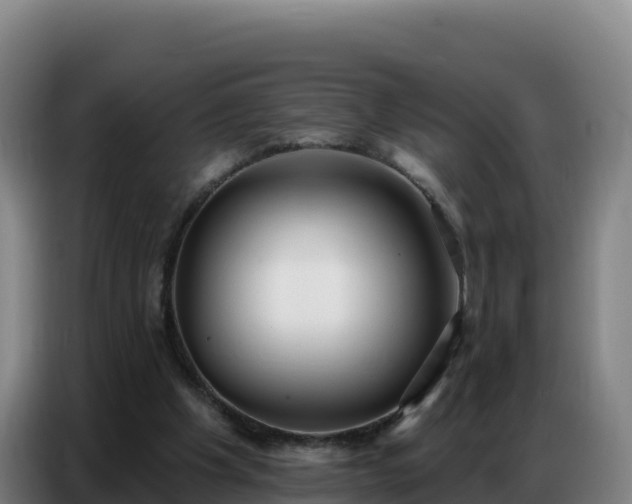 X0000086750201200704201732