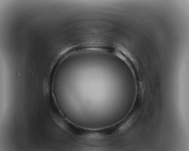 X0000086750203200704201732