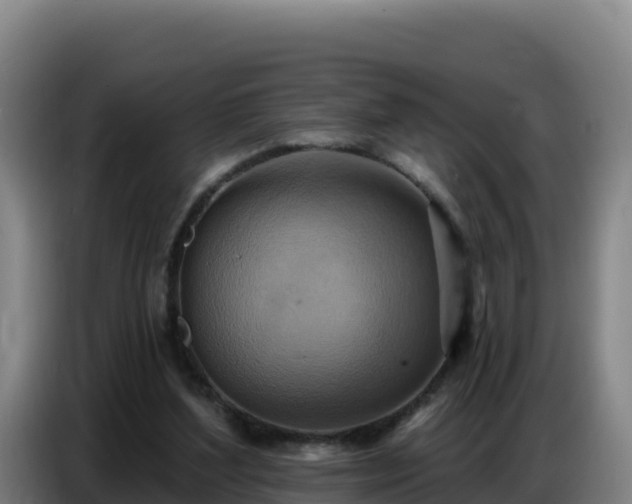 X0000086750204200704201732