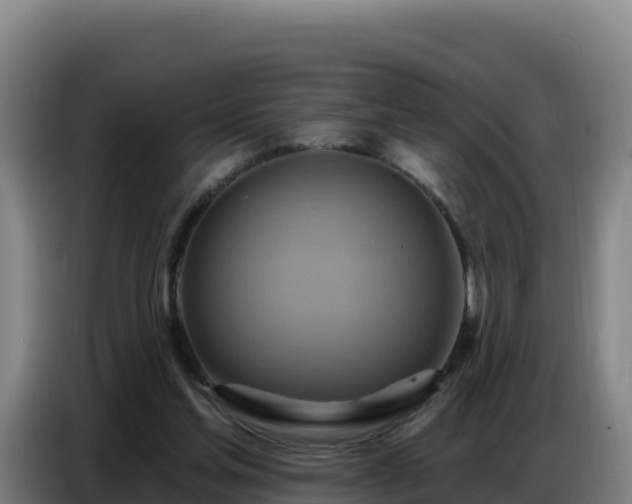 X0000086750205200704201732