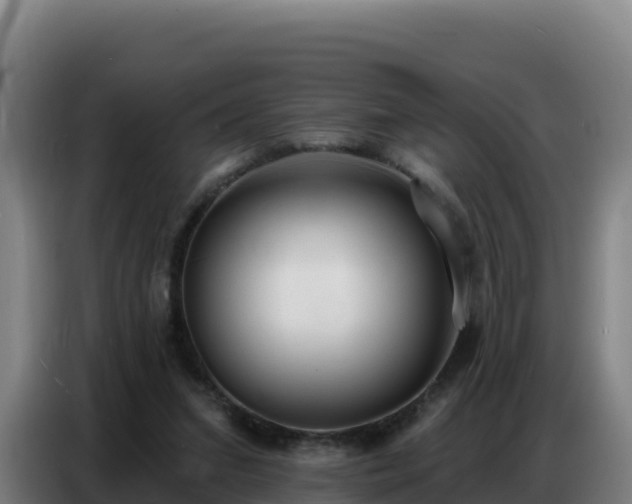 X0000086750207200704201732