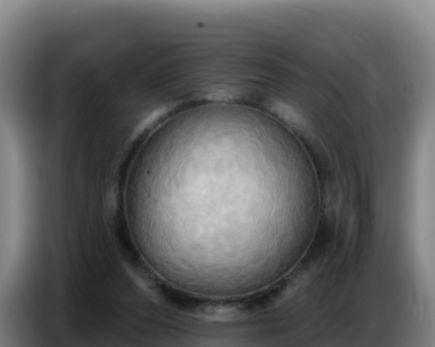 X0000086750208200704201731