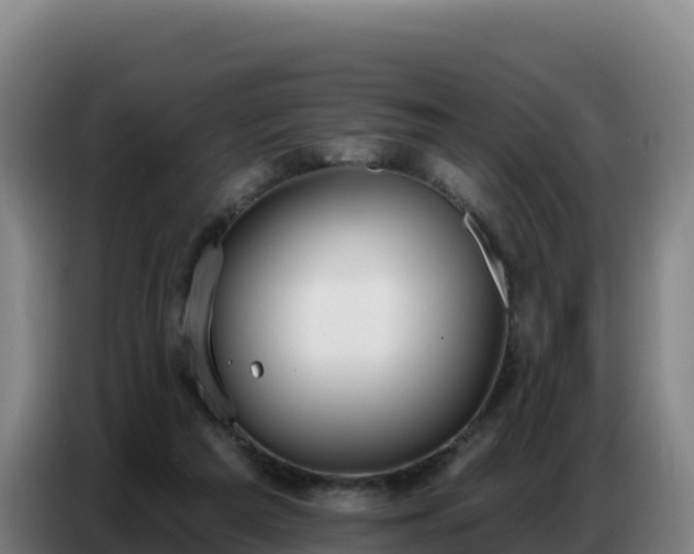 X0000086750209200704201731