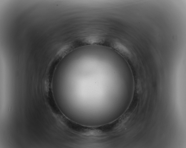 X0000086750210200704201731