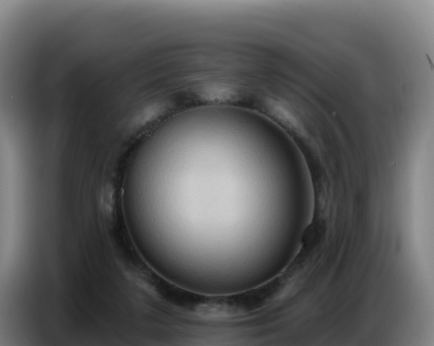 X0000086750211200704201731