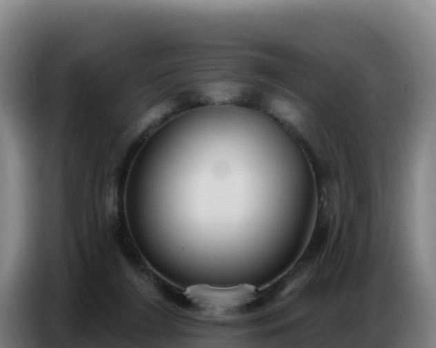 X0000086750212200704201731