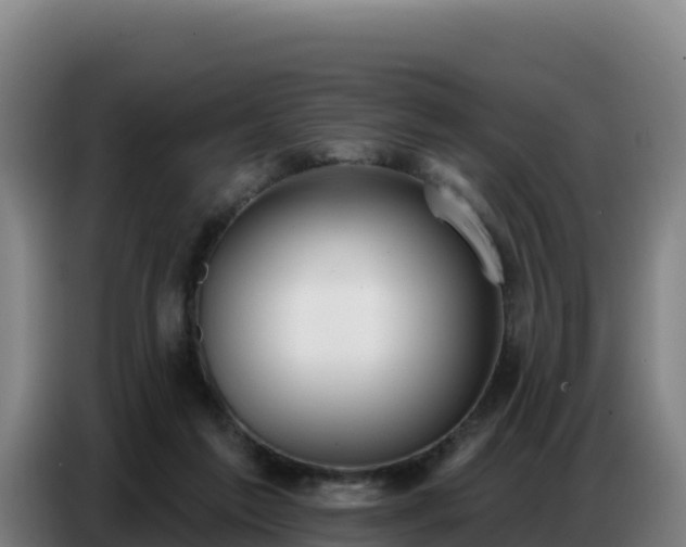 X0000086750213200704201731