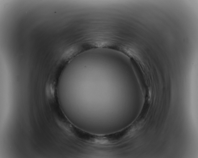 X0000086750214200704201731