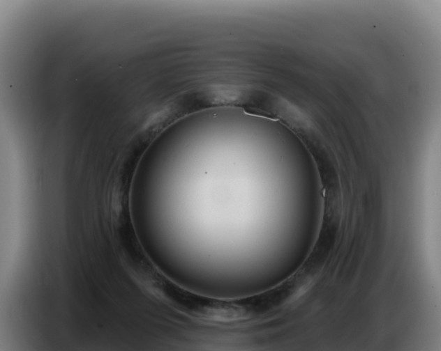 X0000086750215200704201731