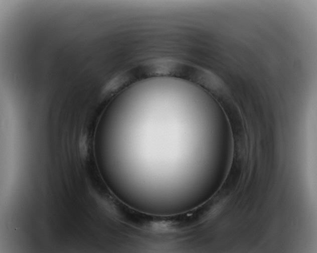 X0000086750216200704201731