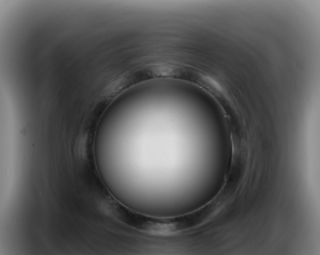 X0000086750217200704201731