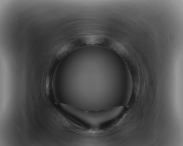 X0000086750219200704201731