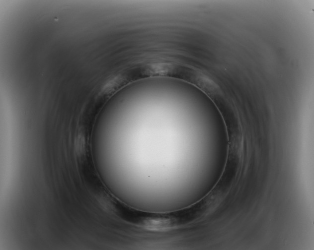 X0000086750220200704201731