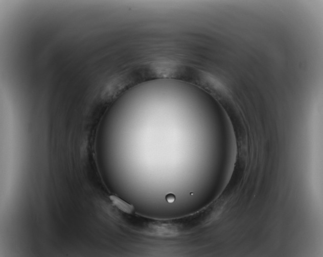 X0000086750221200704201731