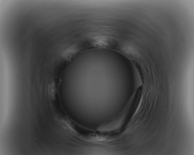 X0000086750223200704201731