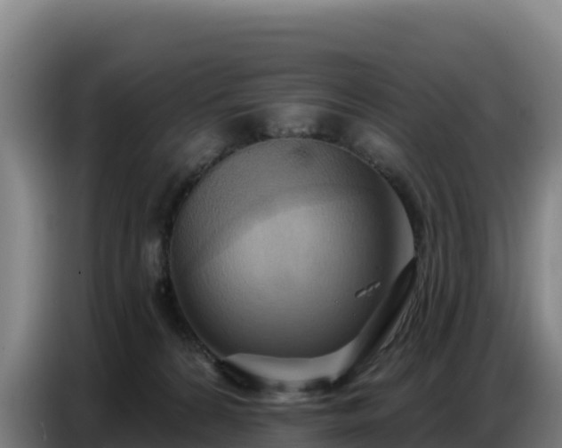 X0000086750224200704201731