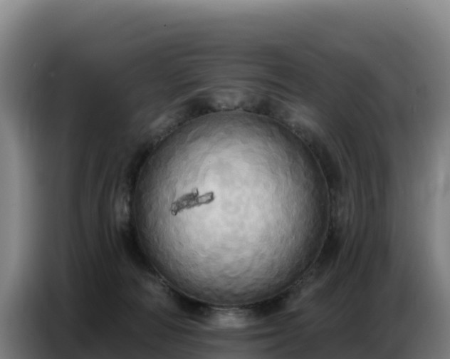 X0000086750226200704201731