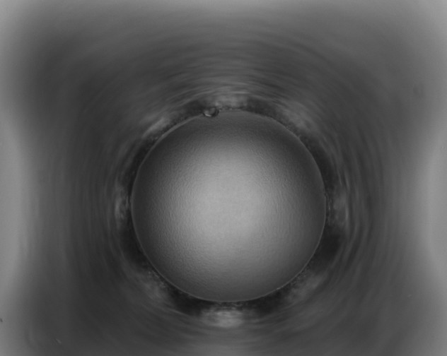 X0000086750228200704201731