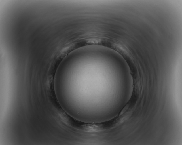 X0000086750229200704201731