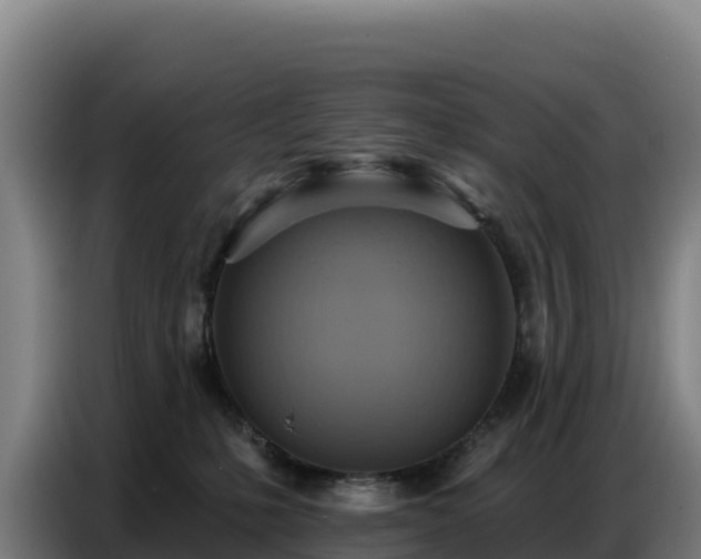 X0000086750231200704201731