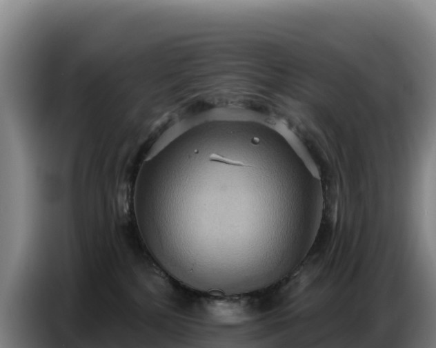 X0000086750232200704201731