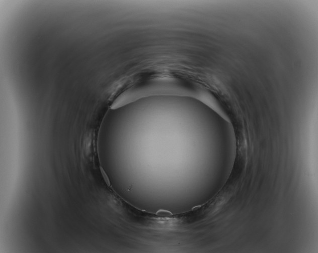 X0000086750233200704201731