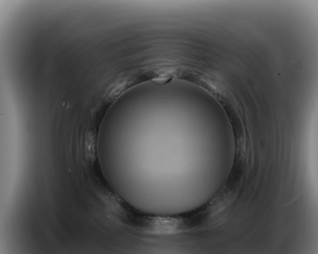 X0000086750234200704201731