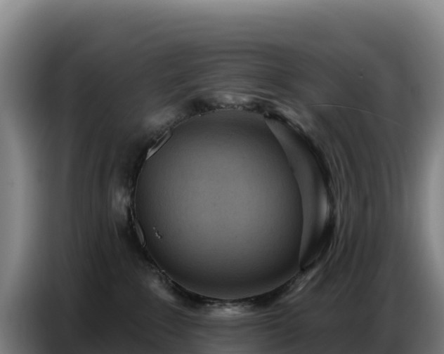 X0000086750235200704201731