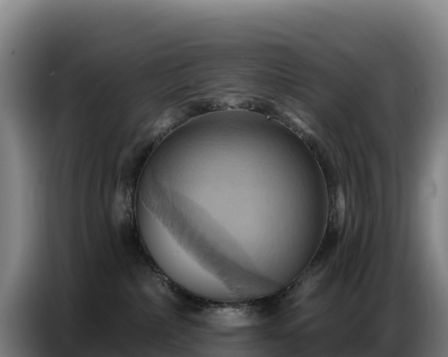 X0000086750236200704201731